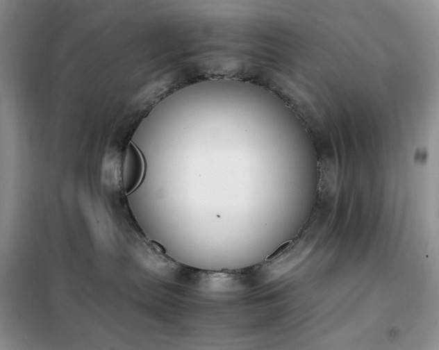 X0000102390287200808011607