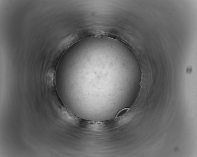 X0000102390288200808011607