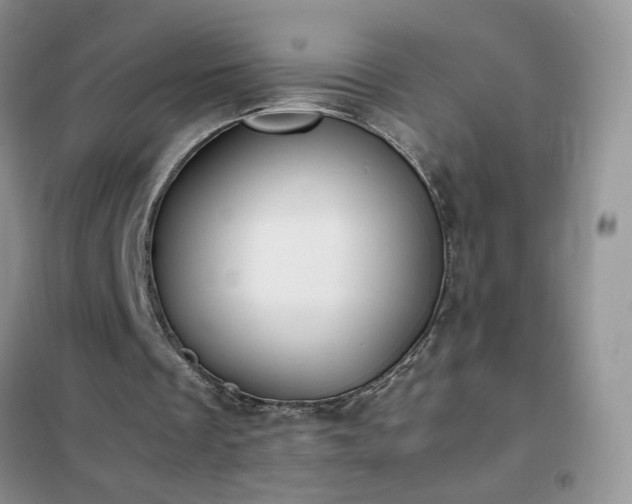 X0000102390289200808011606