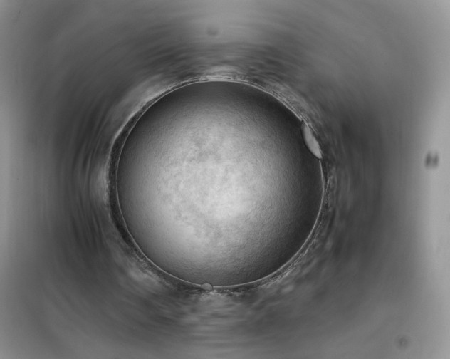 X0000102390290200808011606