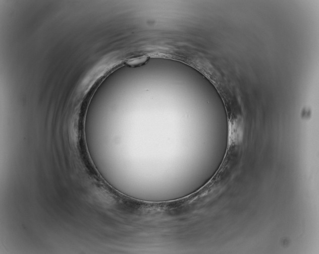 X0000102390291200808011606