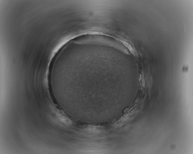 X0000102390292200808011606