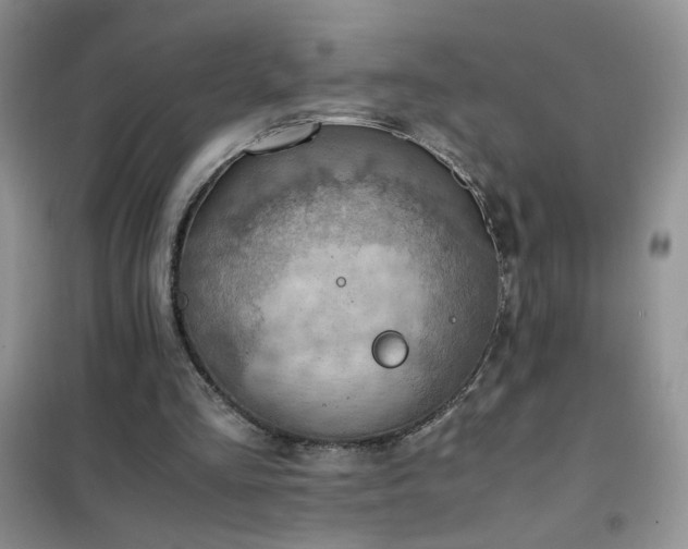 X0000102390293200808011606