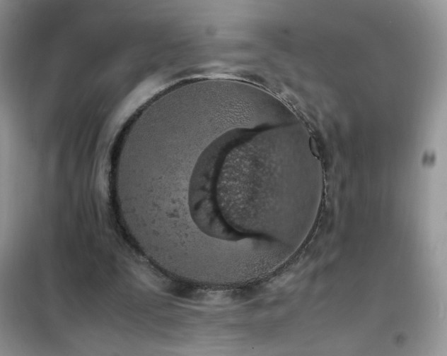 X0000102390295200808011606