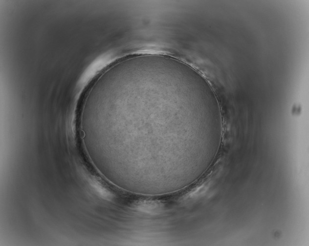 X0000102390296200808011606