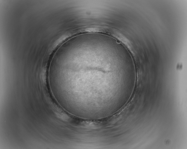 X0000102390297200808011606