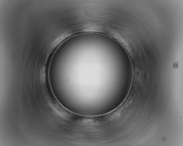 X0000102390298200808011606