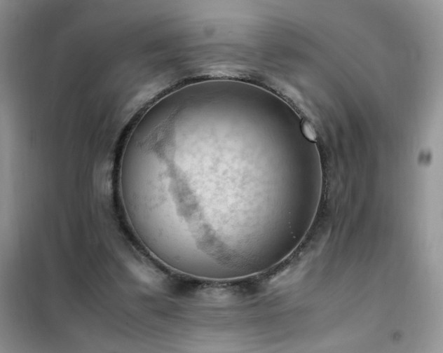 X0000102390299200808011606