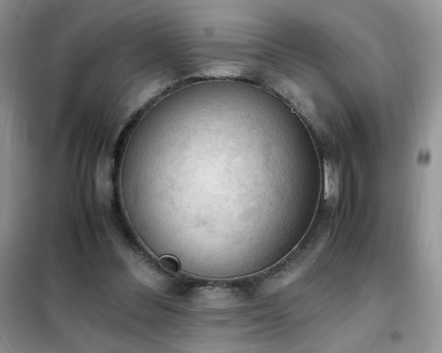 X0000102390300200808011606