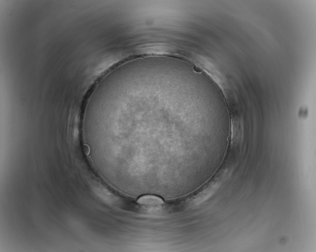 X0000102390301200808011606