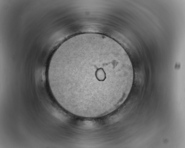 X0000102390302200808011606