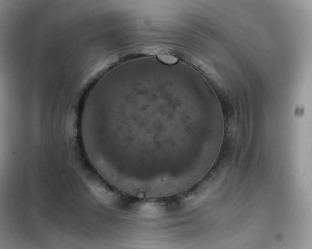 X0000102390303200808011606