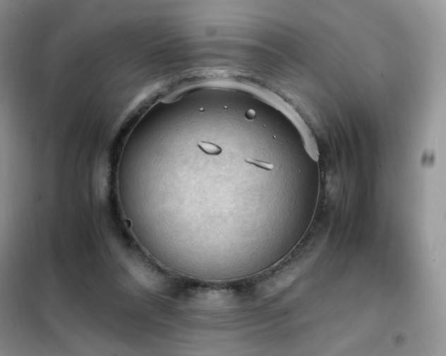 X0000102390304200808011606