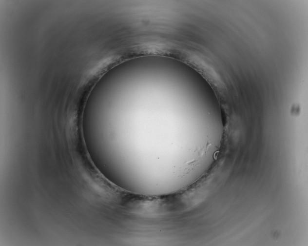 X0000102390306200808011606