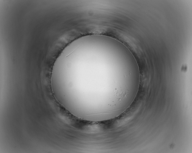 X0000102390307200808011606