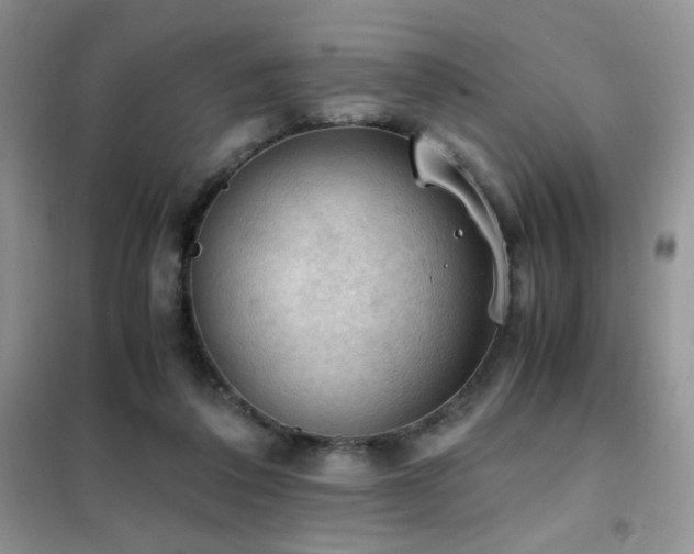 X0000102390308200808011606