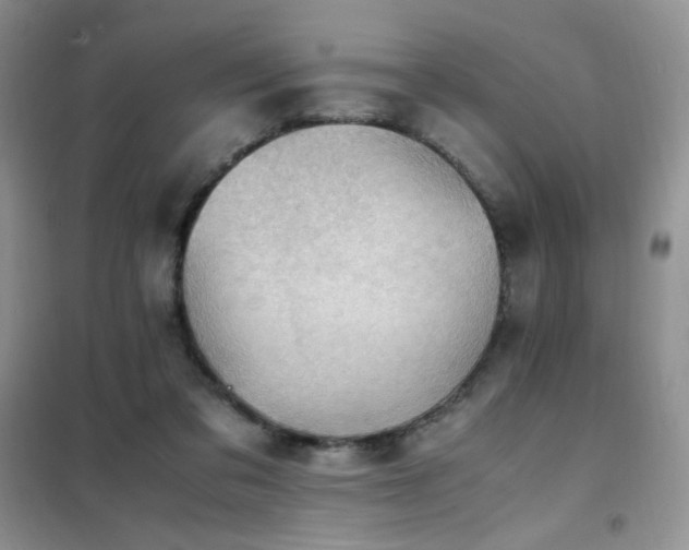 X0000102390309200808011606