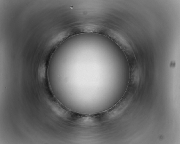 X0000102390310200808011606