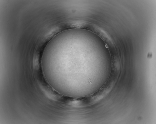 X0000102390312200808011606