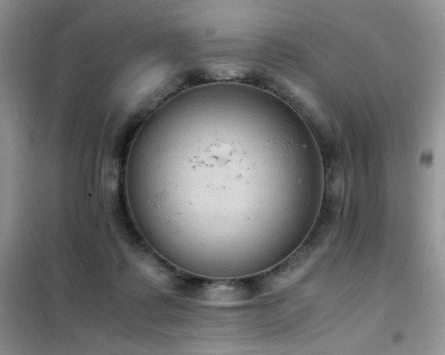 X0000102390315200808011606