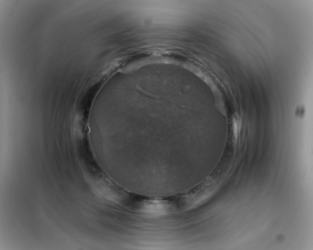 X0000102390316200808011606