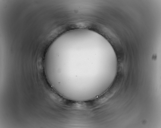 X0000102390317200808011606