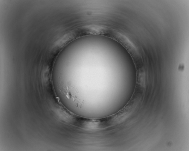 X0000102390318200808011606