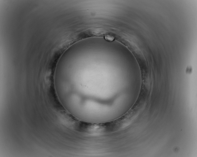 X0000102390319200808011606