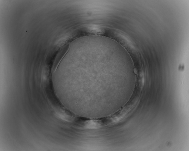 X0000102390320200808011606