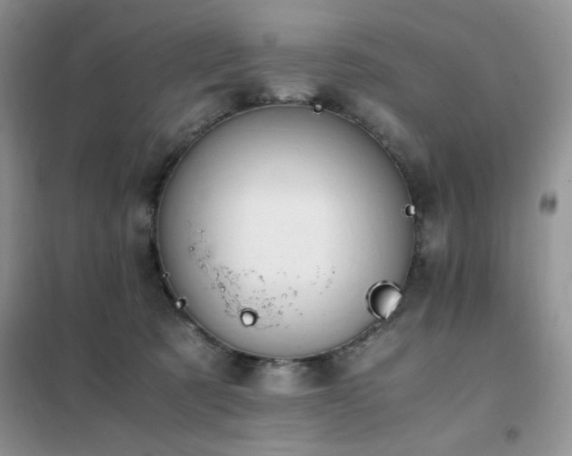 X0000102390321200808011606