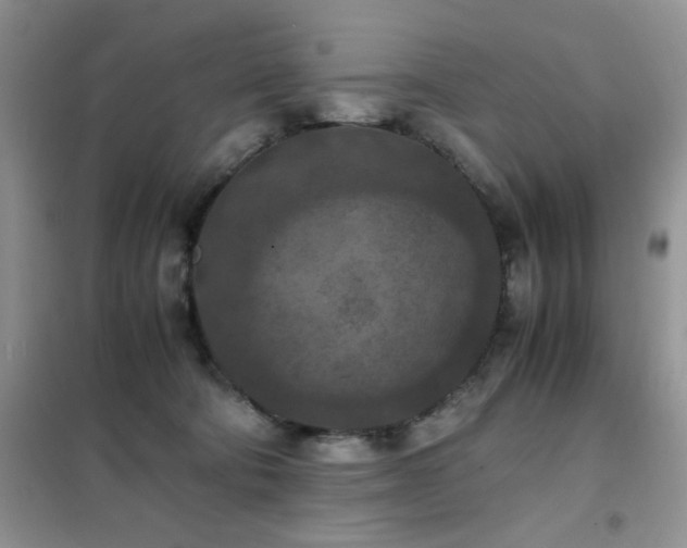 X0000102390322200808011606