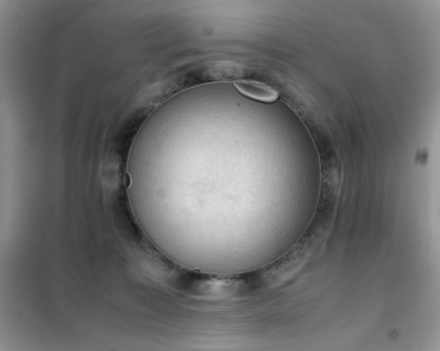 X0000102390323200808011606