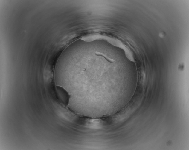 X0000102390324200808011606