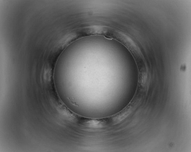 X0000102390326200808011606