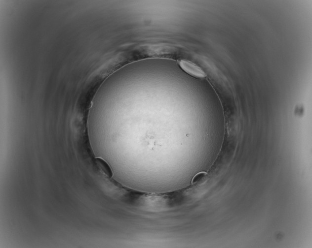 X0000102390327200808011606