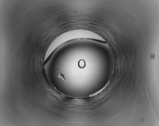 X0000102390328200808011606