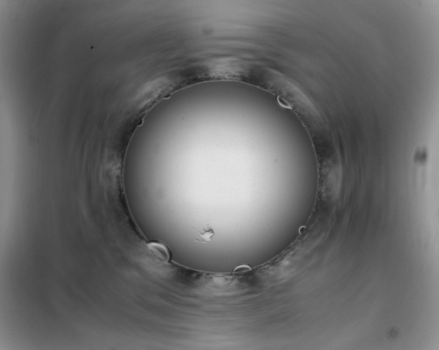 X0000102390329200808011606