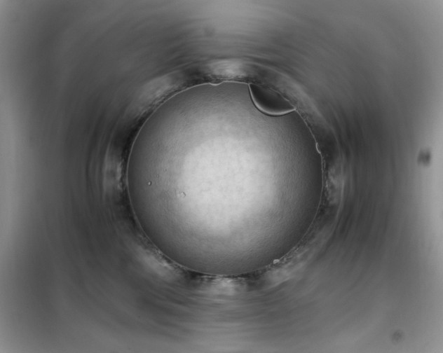 X0000102390330200808011606