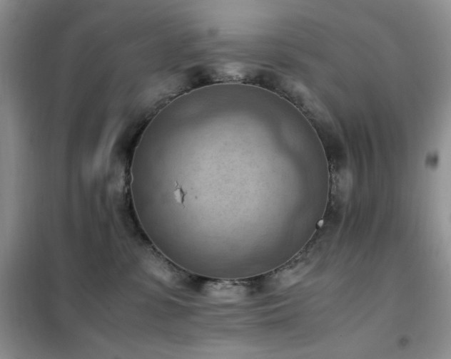 X0000102390331200808011606