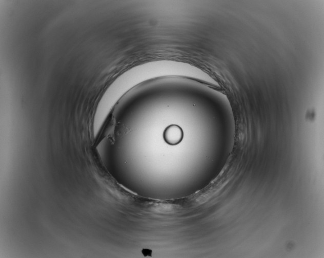 X0000102390332200808011606