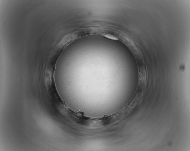 X0000102390333200808011606