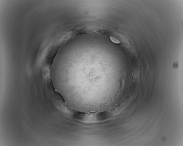 X0000102390335200808011606