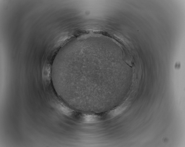 X0000102390336200808011606