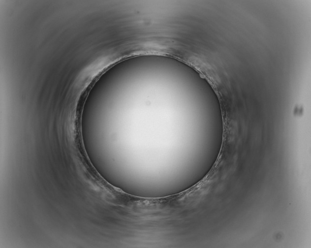 X0000102390338200808011605