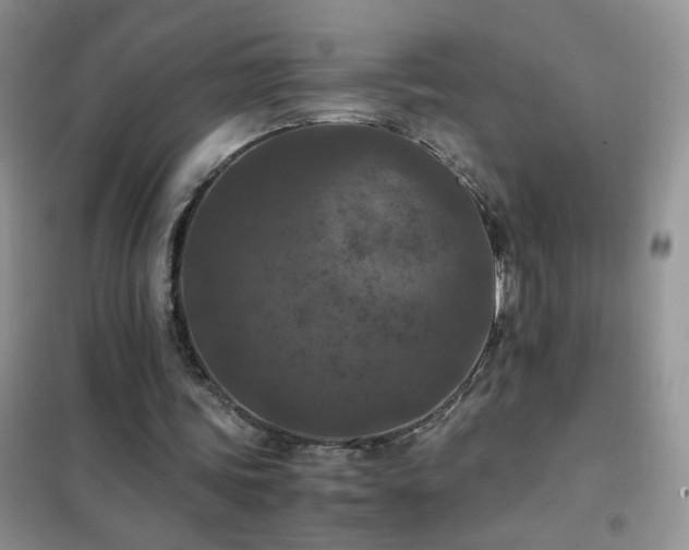 X0000102390339200808011605