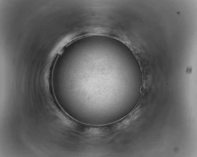 X0000102390341200808011605