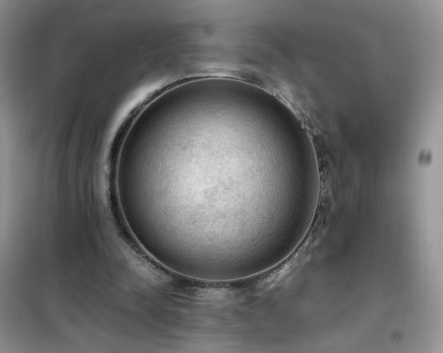 X0000102390342200808011605