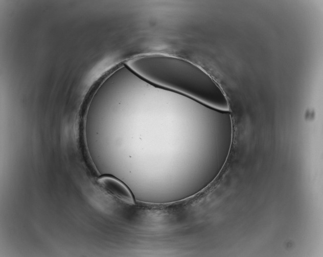 X0000102390344200808011605