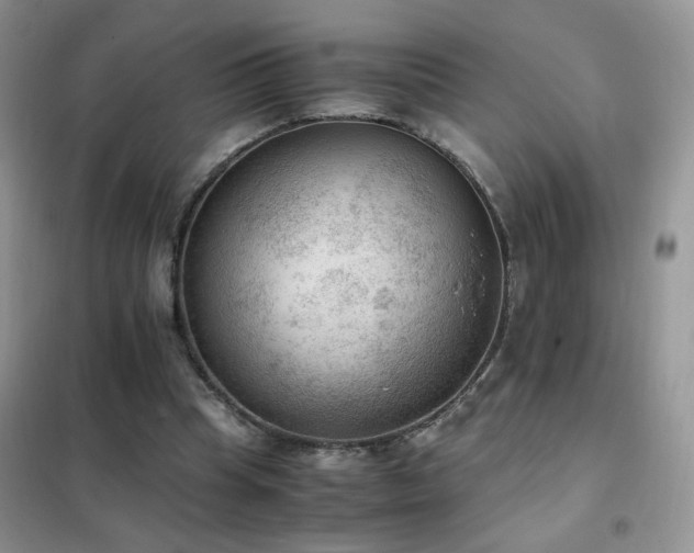 X0000102390345200808011605