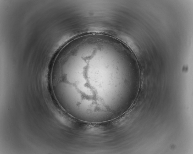 X0000102390346200808011605